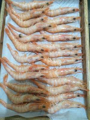 Taberna Del Volapié Felipe Ii