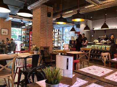 Santa Teresa Shop Paseo De La Habana