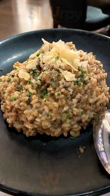 Casa Carmen Moda Shopping