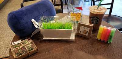 Starbucks Conde De Penalver