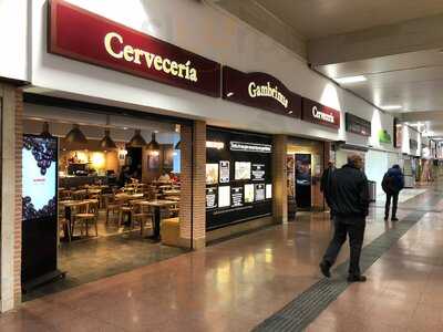 Cervecería Gambrinus - Photo 8