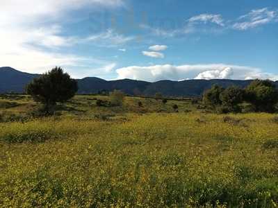 Entrepinos Centro Civico