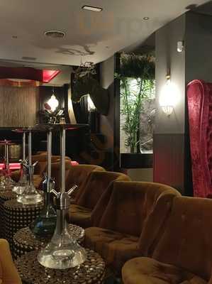 Oashis Sishas & Cocktails