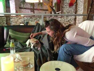 Matilda Café Bar Lounge