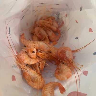 Bar Abaceria La Plaza