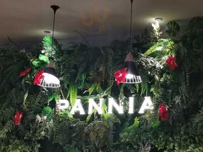 Pannia Cafe