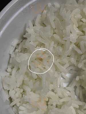 Restaurante Bar El Frenazo