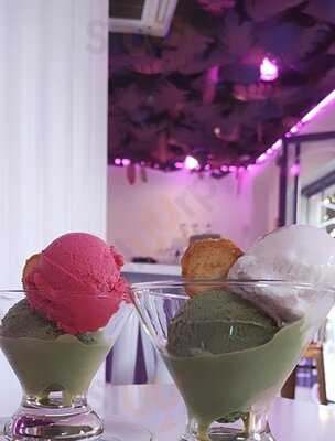 Gelática Ice Concept