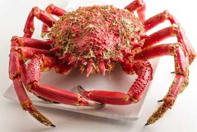 Restaurant Hotel Lois