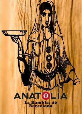 Anatolia Doner Kebap Grill