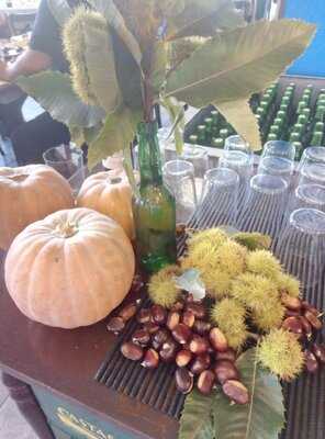 Sidrería El Chisqueru De La Algodonera