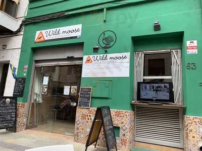Wild Moose