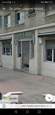 Bar Restaurante Aquarium