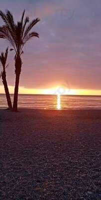 El Sueño De La Mona