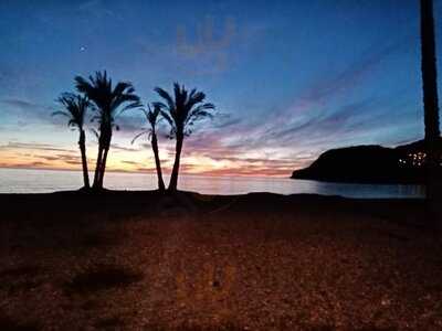 El Sueño De La Mona