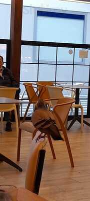 La Madera - Panadería Y Pastelería Artesanal