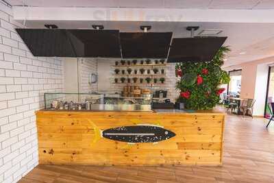 City Poké - Benimaclet