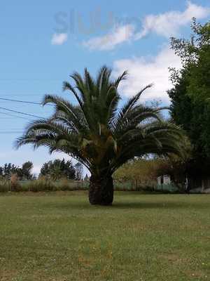 Parrilla Avelino Eugenio