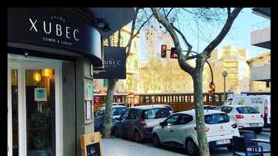 Xubec Palma