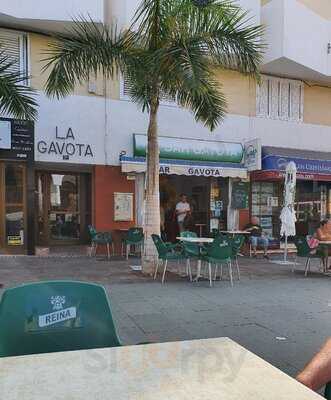 Bar Gavota