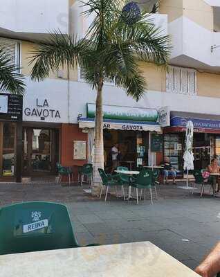 Bar Gavota