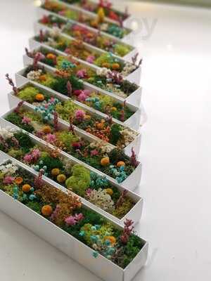 La Bicicleta De Anacleta