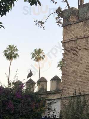 Alfaro Bar Restaurante