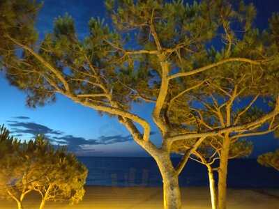 Restaurant Xic Beach