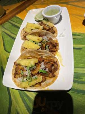 Zapato Veloz Tacobar