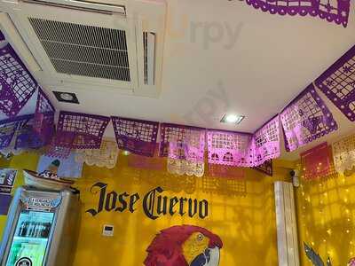 La Venganza De Malinche - Profesor Waksman