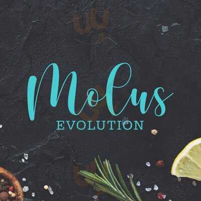 Molus Evolution Restaurante