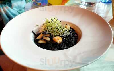 Artemia By Salina San Vicente