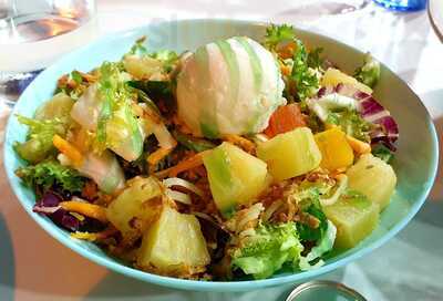 Artemia By Salina San Vicente