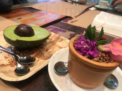 Koko El Rincón Del Patrón