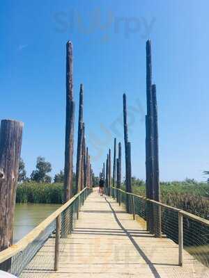 La Granota Del Delta