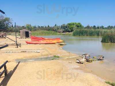 La Granota Del Delta