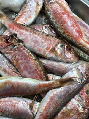 La Taperia Del Bichero