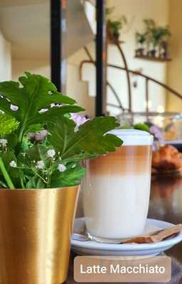 Salto Alto Tapas Y Vino