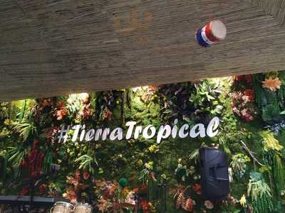 Tierra Tropical