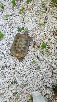 La Buena Vida By Oh My God Càtering