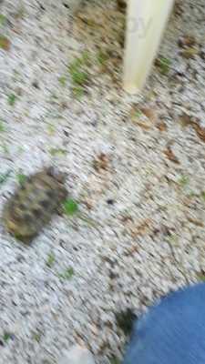 La Buena Vida By Oh My God Càtering