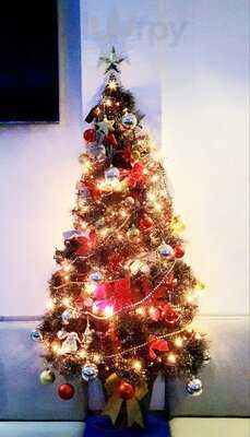 The Admiral Bar Ocean Park