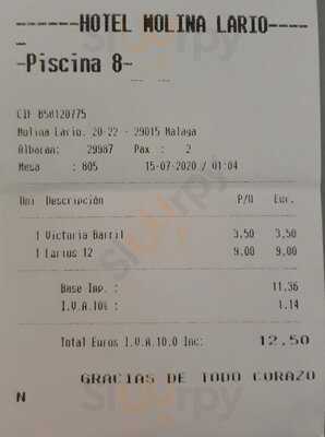 The Top - Molina Lario Rooftop Bar