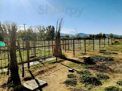 Merendero Can Quelet