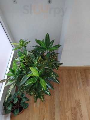 Foodtopia Vistalegre