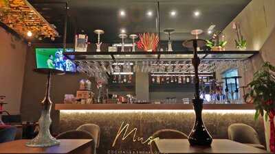 Muse Cocktails & Shisha Lounge