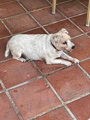 Petra's Bar Restaurante