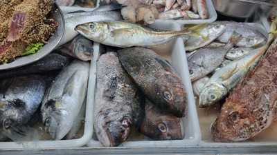 La Batea Churrianera