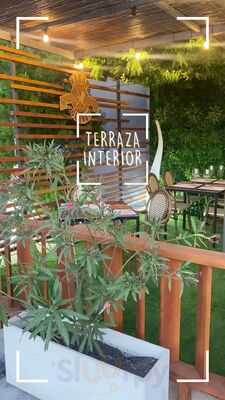 Negro Carbón Neptuno