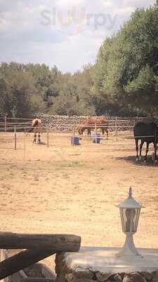 Restaurante - Pizzería Il Massone Menorca